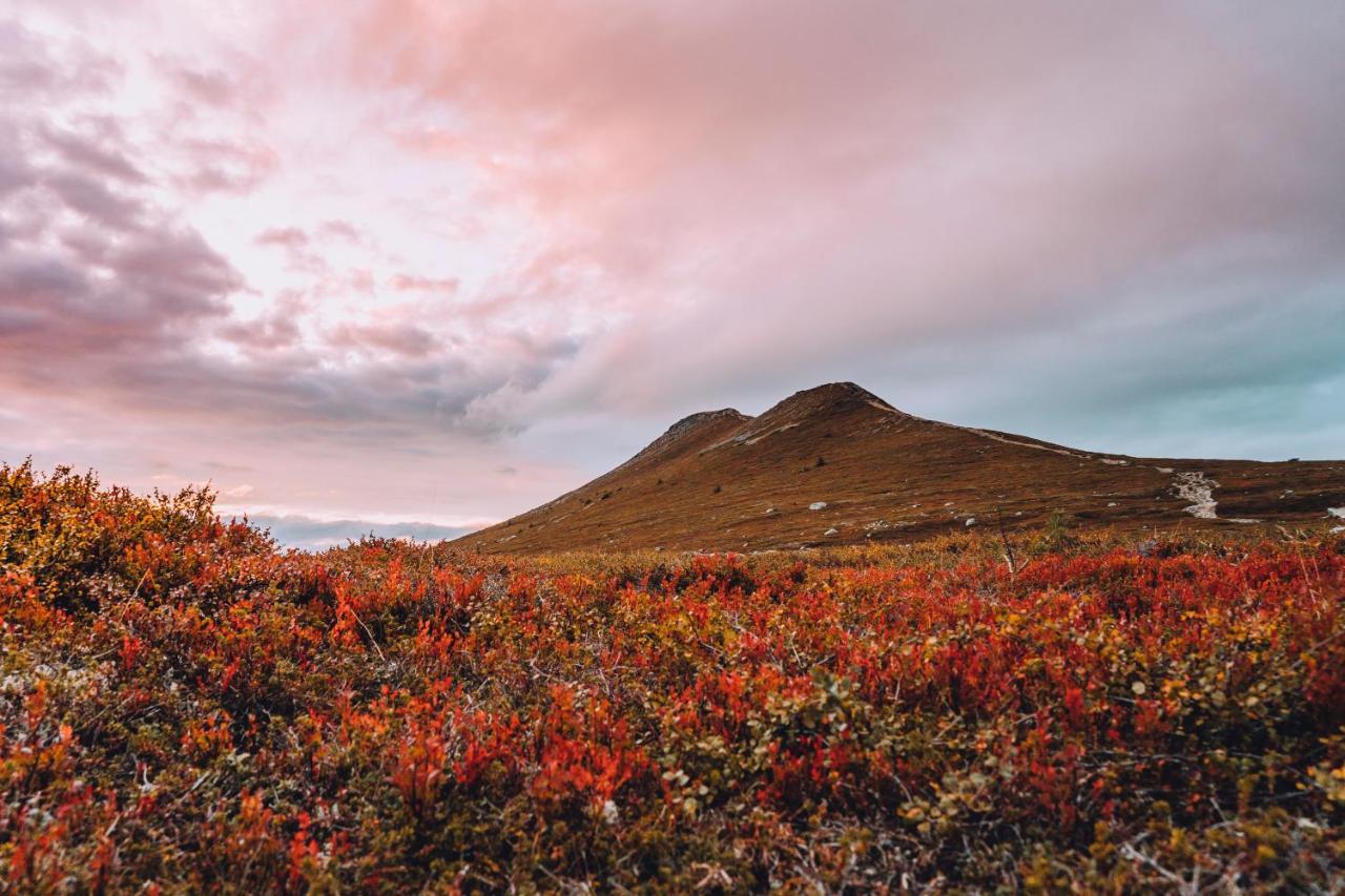 Idre Fjall Villa Eksteriør billede